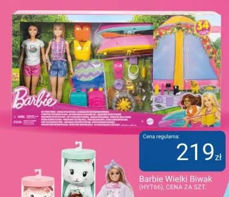 Zabawka Barbie Wielki Biwak (HYT66)