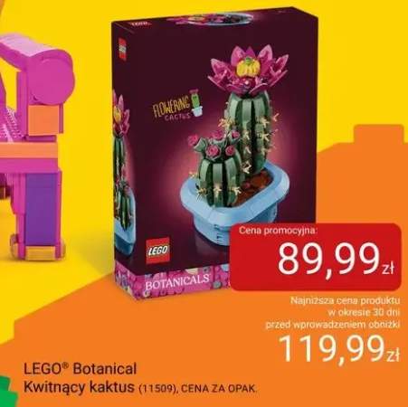 Klocki LEGO Botanical Kwitnący kaktus 11509
